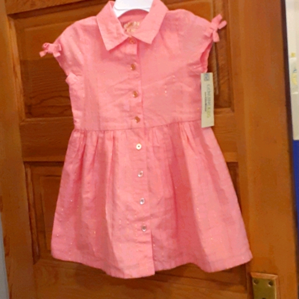 Stunning full button up dress nwt